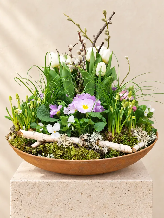 Frühlingsschale mit Tulpen und Primeln